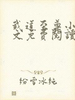 武道至尊小说全文免费阅读无弹窗