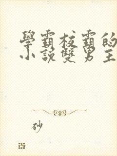 学霸校霸的校园小说双男主