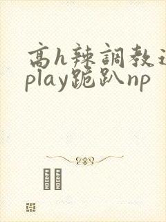高h辣调教道具play跪趴np