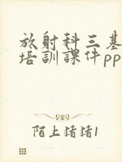 放射科三基三严培训课件ppt