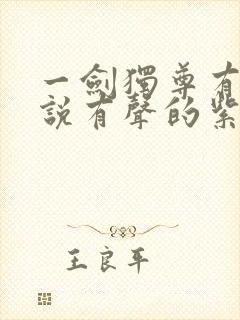 一剑独尊有声小说有声的紫襟免费全集