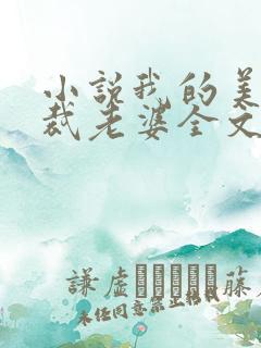 小说我的美女总裁老婆全文