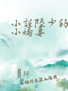 小说陆少的替嫁小娇妻