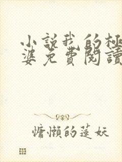 小说我的极品老婆免费阅读全文