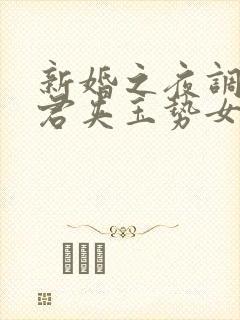 新婚之夜调教正君夹玉势女尊