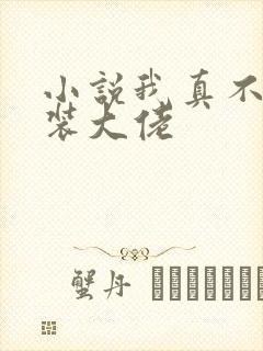 小说我真不是女装大佬