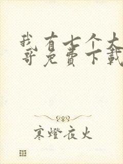 我有七个大佬哥哥免费下载