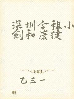 深圳合租小雯许剑和康捷