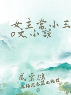 女主当小三的po文小说