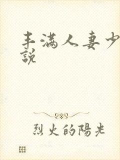 丰满人妻少妇小说