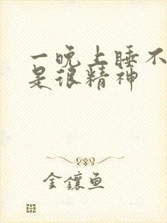 一晚上睡不着但是很精神