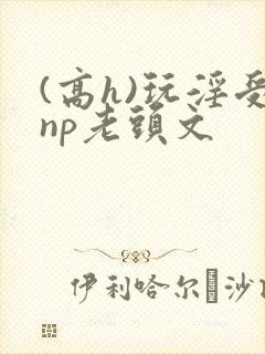 (高h)玩淫受np老头文