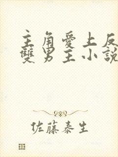 主角爱上反派的双男主小说