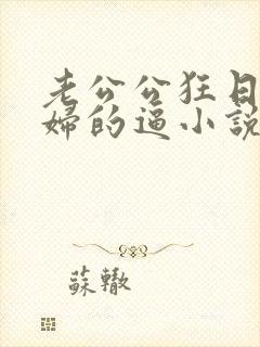 老公公狂日儿媳妇的逼小说