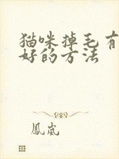 猫咪掉毛有没有好的方法