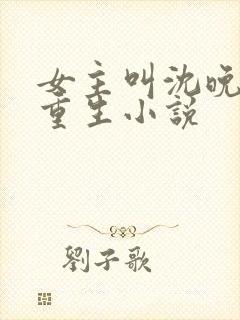 女主叫沈晚晚的重生小说