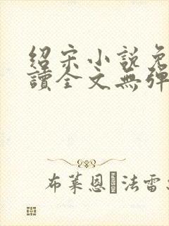 绍宋小说免费阅读全文无弹窗