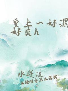 皇上～好湿好紧好爽h