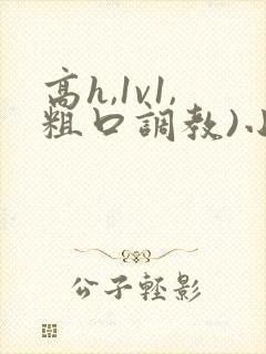 高h,1v1,粗口调教)小说