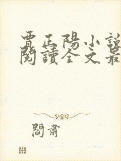 贾正阳小说免费阅读全文最新章节