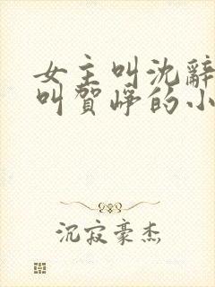 女主叫沈辞男主叫贺峥的小说