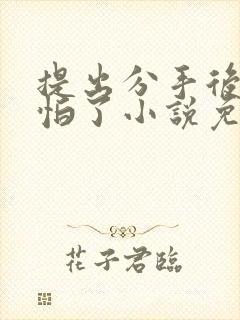 提出分手后她害怕了小说免费阅读