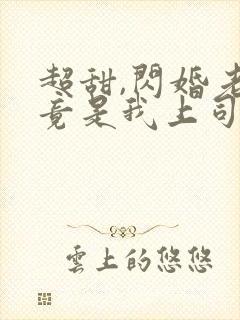 超甜,闪婚老公竟是我上司免费阅读