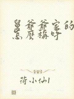 舅爷爷家的儿子怎么称呼