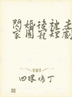 闪婚后被老公全家团宠短剧合集