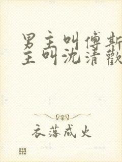 男主叫傅斯年女主叫沈清欢的小说