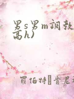 男s男m调教(高h)