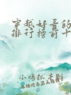 穿越好看的小说排行榜前十名