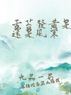 舌苔发黄是风热还是风寒