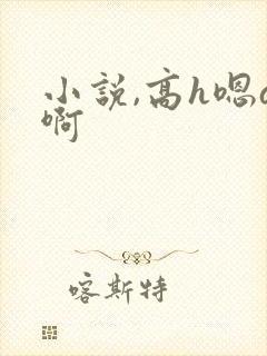 小说,高h嗯a啊