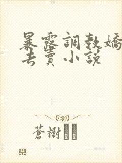 暴露调教娇妻出去卖小说