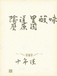 阴道里酸味是什么原因