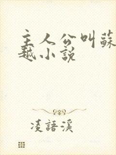 主人公叫苏言穿越小说