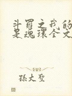 斗罗之我的武魂是魂环全文