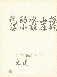 我的冰山总裁老婆小说在线阅读