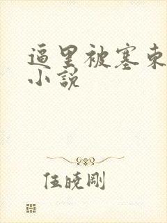 逼里被塞东西的小说