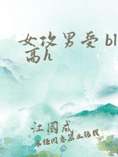女攻男受 bl 高h