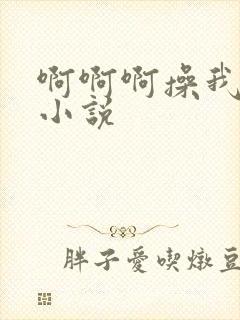 啊啊啊操我啊啊小说