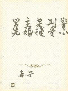 男主是刑警队长先婚后爱小说