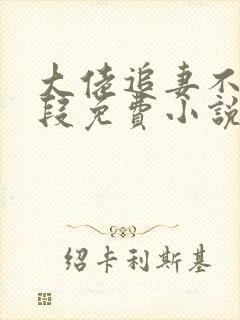 大佬追妻不择手段免费小说