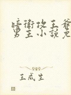 暗卫攻王爷受双男主小说免费阅读