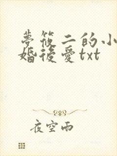 梦筱二的小说先婚后爱txt