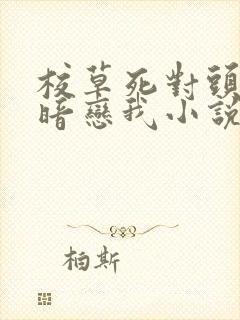 校草死对头竟然暗恋我小说免费阅读