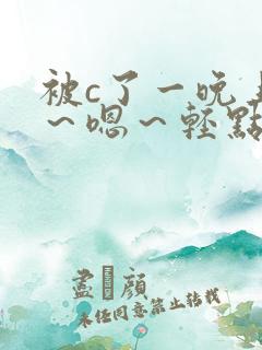 被c了一晚上啊～嗯～轻点小说