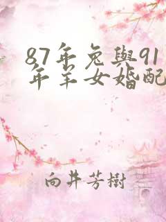 87年兔与91年羊女婚配