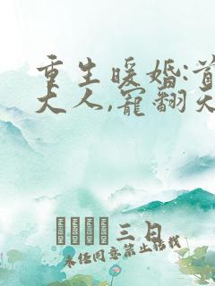 重生暖婚:首长大人,宠翻天
